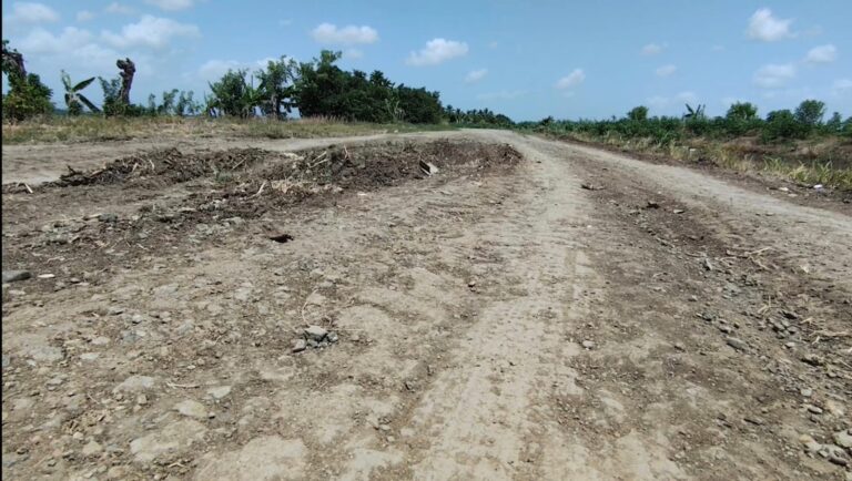 Productores denuncian deterioro de caminos interparcelarios afecta cosechas en Las Guáranas